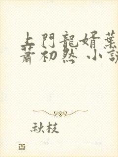 上门龙婿叶辰,萧初然 小说封面
