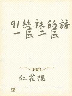 91丝袜的诱惑一区二区
