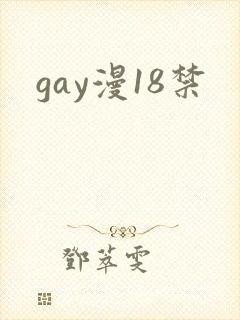 gay漫18禁