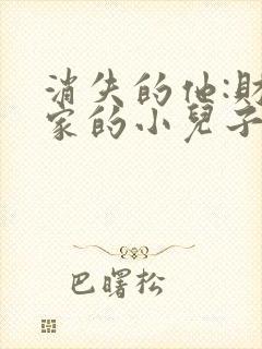 消失的他:财阀家的小儿子封面