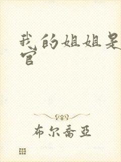 我的姐姐是大法官封面