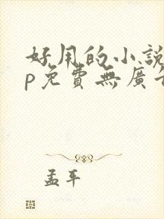 好用的小说app免费无广告