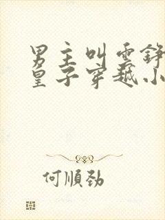 男主叫云铮的六皇子穿越小说