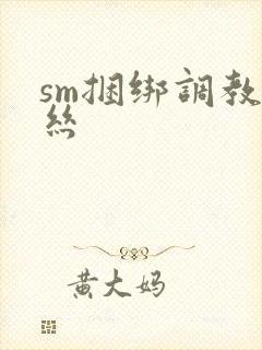sm捆绑调教白丝