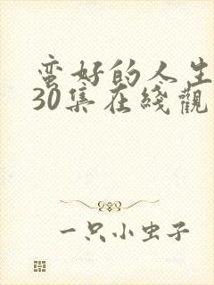 蛮好的人生免费30集在线观看