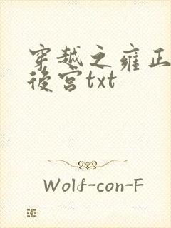 穿越之雍正极品后宫txt