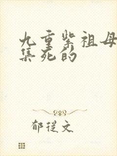 九重紫祖母第几集死的