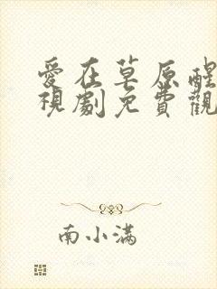 爱在草原醒来电视剧免费观看高清
