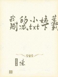 我的小姨叶凡无删减txt下载