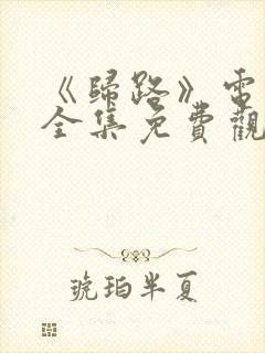《归路》电视剧全集免费观看高清封面
