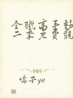 全职高手动漫第二季免费观看