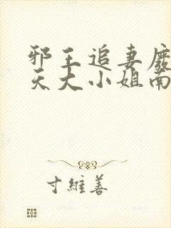 邪王追妻废材逆天大小姐南宫流云