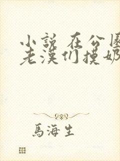 小说 在公园被老汉们摸奶子