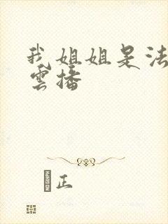 我姐姐是法官 云播封面