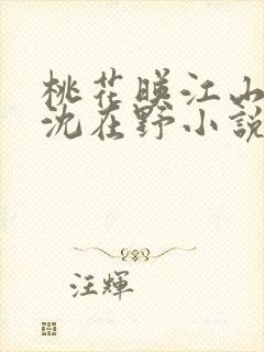 桃花映江山原著沈在野小说免费阅读无弹窗