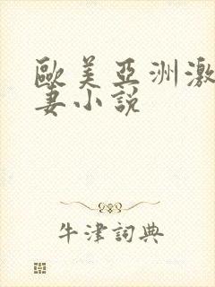 欧美亚洲激情人妻小说封面