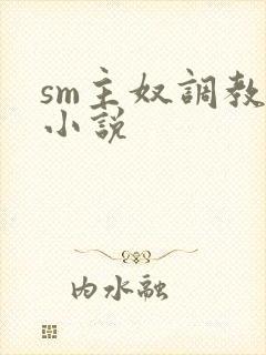 sm主奴调教文小说封面