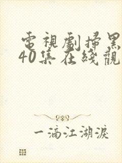 电视剧扫黑风暴40集在线观看免费封面