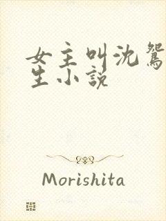 女主叫沈鸳的重生小说