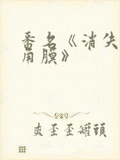 番名《消失的眼角膜》
