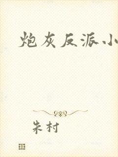 炮灰反派小说