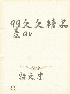 99久久精品国产av