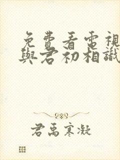 免费看电视剧《与君初相识》