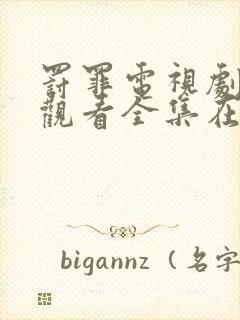 罚罪电视剧免费观看全集在线封面