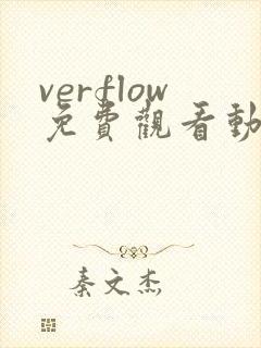verflow免费观看动漫全集完整版封面