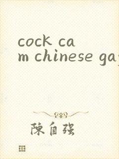 cock cam chinese gay封面