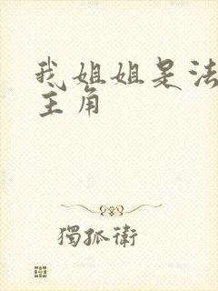 我姐姐是法官女主角