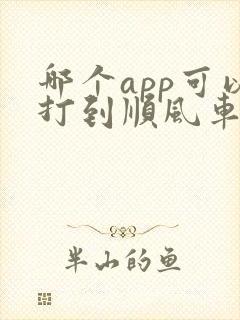 哪个app可以打到顺风车