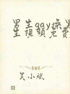 男生gay操男生视频免费看