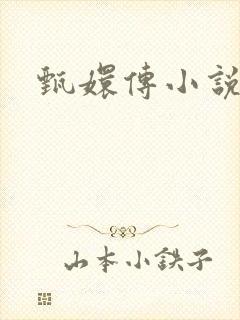 甄嬛传小说