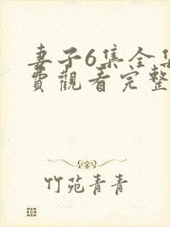 妻子6集全集免费观看完整版封面