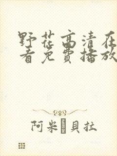 野花高清在线观看免费播放6