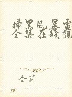 扫黑风暴电视剧全集在线观看免费