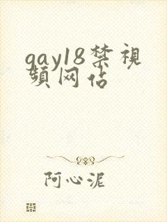 gay18禁视频网站封面