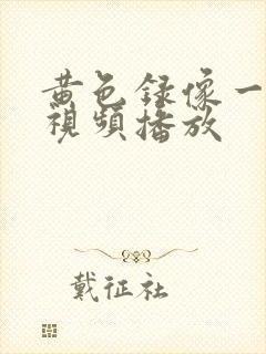 黄色录像一级片视频播放