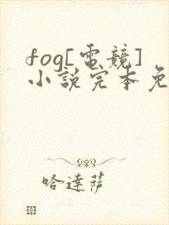 fog[电竞]小说完本免费阅读