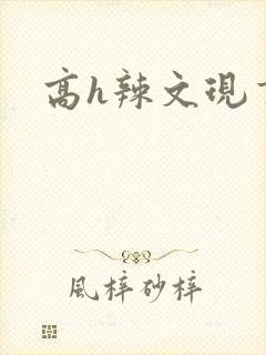 高h辣文现言