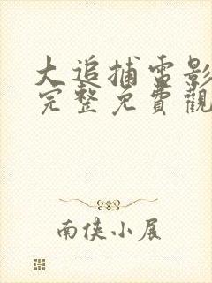 大追捕电影在线完整免费观看