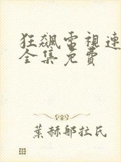 狂飙电视连续剧全集免费封面