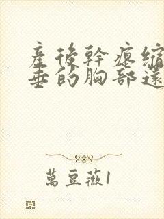 产后干瘪缩水下垂的胸部还有救吗封面
