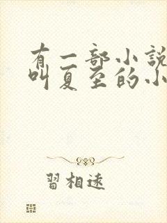 有一部小说主角叫夏至的小说