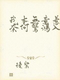我本无意惹惊鸿奈何惊鸿入我心意思封面