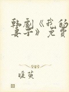 韩剧《我的两个妻子》免费