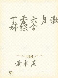 丁香六月激情婷婷综合