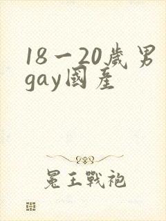 18一20岁男gay国产