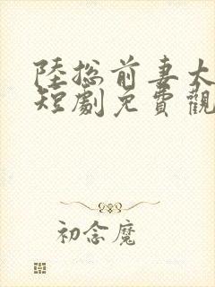 陆总前妻太傲娇短剧免费观看全集高清